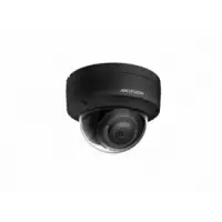 DS-2CD2123G2-IS(2.8mm)(BLACK)