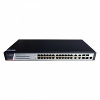DS-3E2528(B)