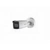 HIKVISION DS-2CD2623G0-IZS