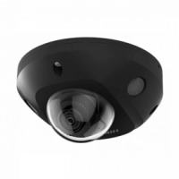 DS-2CD2543G2-IS(2.8mm)(BLACK)
